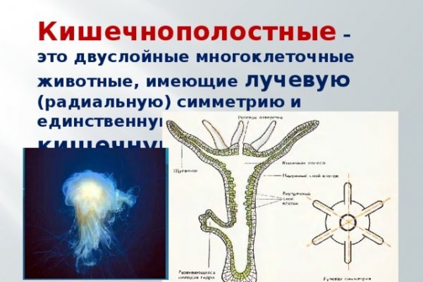 Кракен шоп нарк