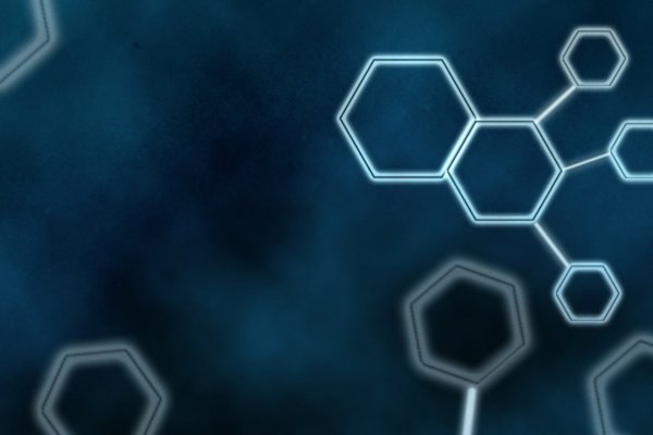 Kraken17 at