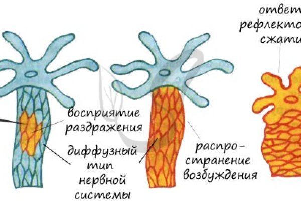 Kraken tor onion зеркало