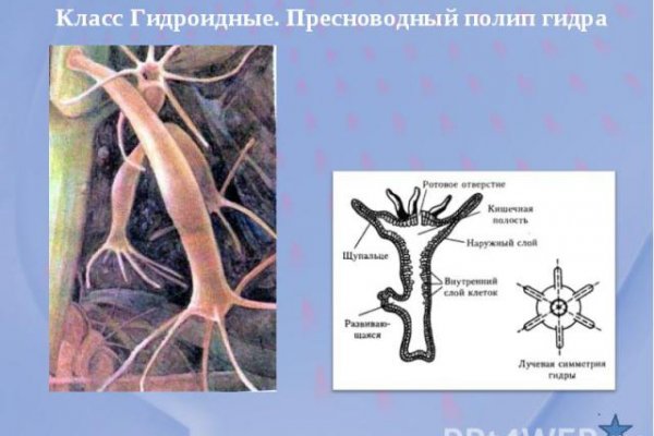 Даркнет официальный сайт на русском